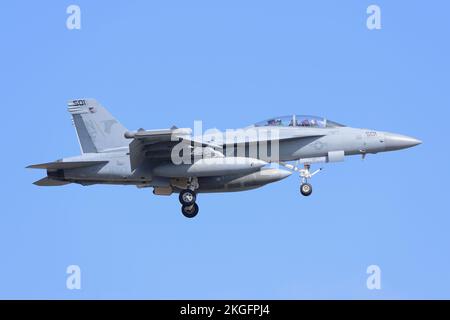 Prefettura di Kanagawa, Giappone - 28 marzo 2015: Boeing EA-18G Growler della Marina degli Stati Uniti, aereo da guerra elettronico VAQ-141 Shadowhawks. Foto Stock