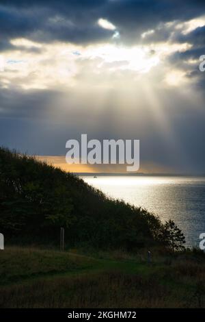 Sulla costa di Hundested. I raggi del sole che si infrangono attraverso il suggestivo cielo attraverso le nuvole al tramonto. Montagna con alberi in primo piano. Paesaggio s Foto Stock