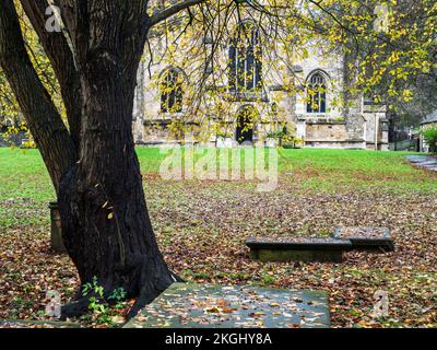 Chiesa di St Johns attraverso l'autunno lascia Knaresborough North Yorkshire Inghilterra Foto Stock