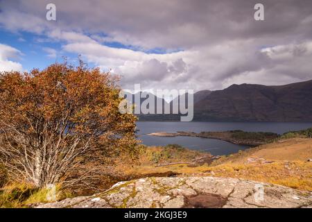 Little Loch Torridon negli altopiani della Scozia nord-occidentale Foto Stock
