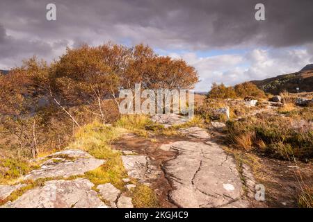 Little Loch Torridon negli altopiani della Scozia nord-occidentale Foto Stock