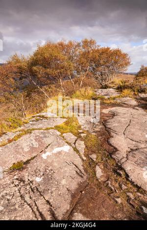 Little Loch Torridon negli altopiani della Scozia nord-occidentale Foto Stock