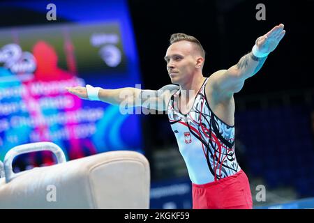 Szczecin, Polonia, 10 aprile 2019: Lukasz Borkowski di Polonia durante i campionati europei di ginnastica artistica Foto Stock