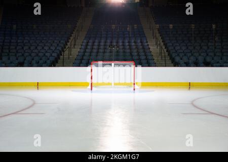 Una rete vuota in un'arena di hockey Foto Stock