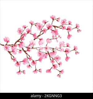 Ramo albero vettore illustrazione estate clipart autunno clipart natura foresta, sfondo ciliegio fiore primavera Giappone, ramo di sakura fioritura Illustrazione Vettoriale
