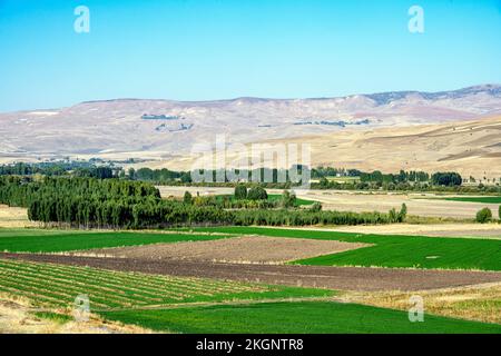 Asien, Türkei, Provinz Mus, beim Dorf Senova nördlich der Stadt Mus Foto Stock