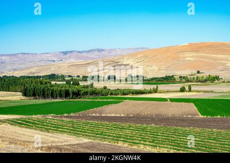 Asien, Türkei, Provinz Mus, beim Dorf Senova nördlich der Stadt Mus Foto Stock