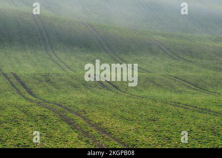 I cingoli degli pneumatici si allungano lungo il campo di rotolamento all'inizio della primavera Foto Stock