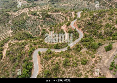 Spagna, Catalogna, Les Garrigues, veduta aerea della strada tortuosa di campagna Foto Stock