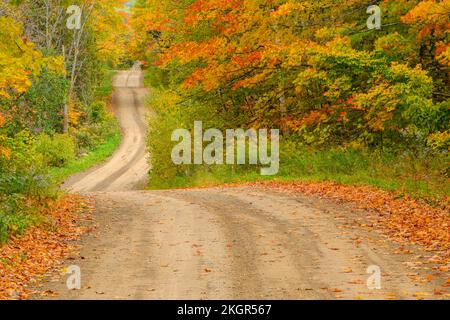 Burnett's Sideroad in autunno, Sheguiandah, Manitoulin Island, Ontario, Canada Foto Stock