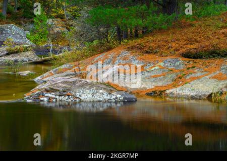 Riflessioni autunnali nel fiume Wahnapitei, Killarney, Ontario, Canada Foto Stock