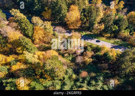 Germania, Baden-Wurttemberg, veduta aerea della strada asfaltata che attraversa il bosco autunnale della Foresta Nera Foto Stock