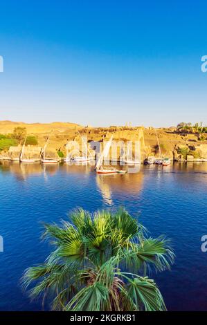 Egitto, Governatorato di Assuan, Assuan, Barche a vela che galleggiano sulle rive del fiume Nilo Foto Stock