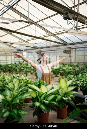 Giardiniere giovane con le braccia tese in piedi in serra Foto Stock