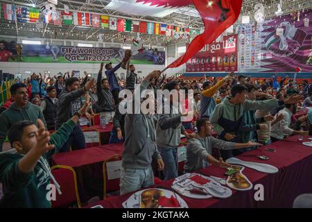 Gaza, Palestina, Stati Uniti. 23rd Nov 2022. (INT) i palestinesi sostengono la squadra di calcio marocchina durante la partita contro la Croazia nella Coppa del mondo FIFA in Qatar. 23 novembre 2022, Gaza, Palestina: Centinaia di palestinesi nella striscia di Gaza sono stati nella Saad Sail Hall della striscia di Gaza per sostenere e incoraggiare la squadra arabo-marocchina a giocare contro la Croazia durante la Coppa del mondo di calcio FIFA 2022 in Qatar. Il gioco si è concluso tra il 0 e il 0, un pareggio e il vice ambasciatore Qatari Khaled al-Hardan hanno condiviso l'atmosfera entusiastica con i fan mentre guardavano la partita. Credit: Saher Elghorra/Thenews2 (Credit Image: © Sahe Foto Stock