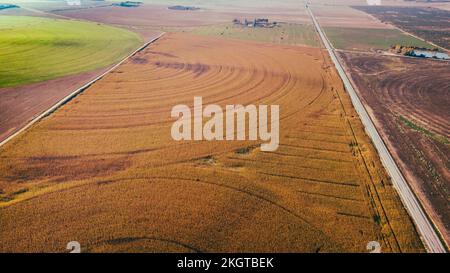 Spagna, Aragona, Huesca, veduta aerea dei campi di grano secco Foto Stock