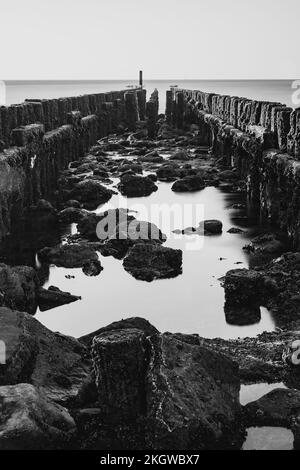 Rocce con alghe verdi alla luce del sole tramontato e delle onde mistiche . Lunga fotografia di lunga durata sulla costa olandese, Zeeland, Paesi Bassi Foto Stock