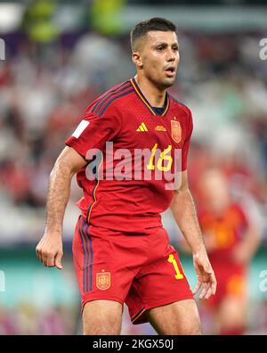 Rodri in Spagna durante la partita di Coppa del mondo FIFA Group e al Thumama Stadium di Doha. Data immagine: Mercoledì 23 novembre 2022. Foto Stock