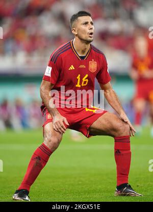 Rodri in Spagna durante la partita di Coppa del mondo FIFA Group e al Thumama Stadium di Doha. Data immagine: Mercoledì 23 novembre 2022. Foto Stock