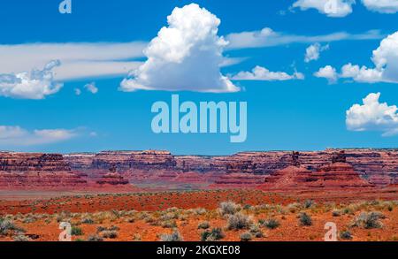 Splendida vista panoramica sul paesaggio rosso arancio, montagne mesa, fiocchi d'erba, cielo estivo blu - Monument Valley, Utah, Arizona Foto Stock