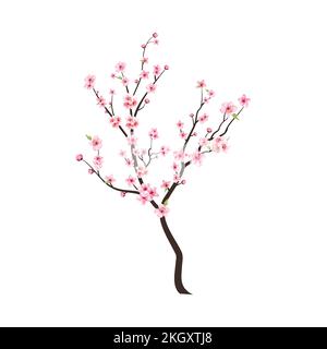 Germoglio di ciliegia acquerello. Ramo di ciliegio con fiore sakura. Vettore di fiori di ciliegio acquerello. Sfondo rosa sakura fiore. Fiore di ciliegio Illustrazione Vettoriale