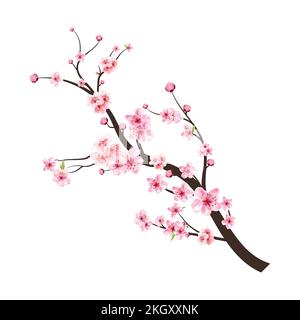 Sakura su sfondo bianco. Vettore di fiori di ciliegio acquerello. Sfondo rosa sakura fiore. Fiore ciliegio fiore vettore fioritura. Reggiseno in fiore di ciliegio Illustrazione Vettoriale