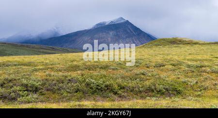 Le Endicott Mountains al Gates of the Arctic National Park a Brooks Range, Alaska Foto Stock