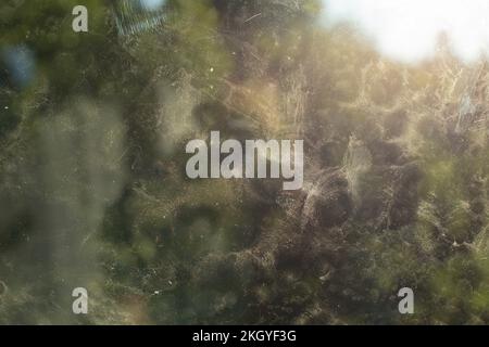 Vetro sporco. Polvere sulla finestra. Dettagli sulla sporcizia. Superficie torbida. Traccia texture. Foto Stock