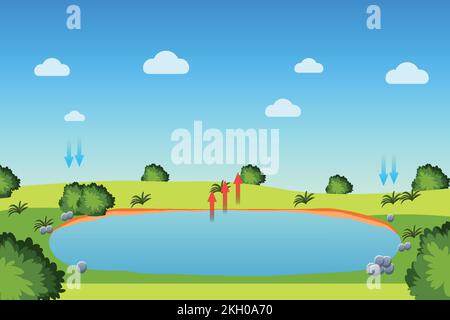 Ciclo dell'acqua processo con un laghetto e cielo blu. Diagramma infografico del processo di evaporazione, condensazione e precipitazione per lo studio. Campo verde con Illustrazione Vettoriale