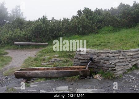 Abbondante sorgente d'acqua nelle montagne di Jesenik. Il suo nome è primavera cervi. Fonte di acqua potabile per i turisti Foto Stock