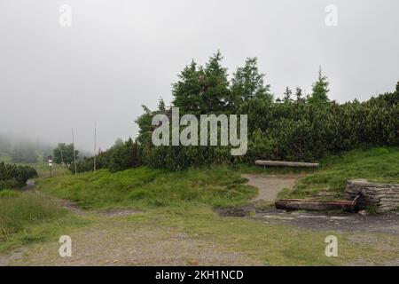 Abbondante sorgente d'acqua nelle montagne di Jesenik. Il suo nome è primavera cervi. Fonte di acqua potabile per i turisti Foto Stock