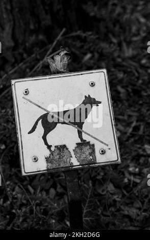 Non sono ammessi cani, cartello di divieto in bianco e nero nel parco Foto Stock