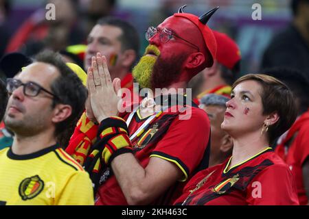 Al Rayyan, Qatar. 23rd Nov 2022. I tifosi belgi sono stati raffigurati negli stand di una partita di calcio tra la nazionale belga The Red Devils e il Canada, nel Gruppo F della Coppa del mondo FIFA 2022 di al Rayyan, Stato del Qatar, mercoledì 23 novembre 2022. BELGA PHOTO VIRGINIE LEFOUR Credit: Agenzia Notizie Belga/Alamy Live News Foto Stock