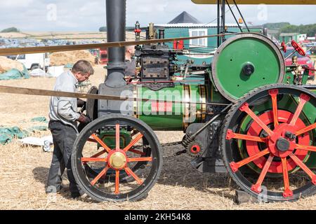 Tarrant Hinton.Dorset.United Kingdom.August 25th 2022.A replica di un motore di trazione Wallis e Steevens costruito nel 1980s è alla guida di un mac di trebbiatura Foto Stock