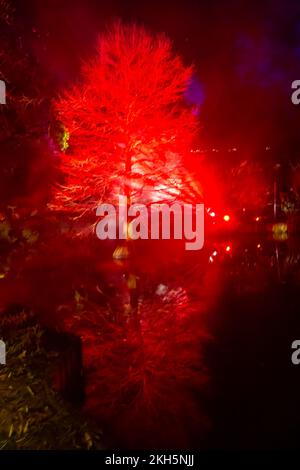 Romsey, Hampshire, Regno Unito. 23rd novembre 2022. Anteprima serata di Light Up Trails presso Sir Harold Hillier Gardens a Romsey, che si apre domani con un'esperienza coinvolgente di un chilometro e mezzo creata da Light Up Trails. Rinomati in tutto il mondo per le sue collezioni di alberi e piante rare, i magnifici giardini sono visti in una nuova luce eccitante questo Natale mentre la premiata attrazione per i visitatori apre le sue porte dopo il tramonto per una speciale nuova esperienza assolutamente bella con le luci che accentuano il paesaggio, come non sono mai stati visti prima. Credit: Carolyn Jenkins/Alamy Live News Foto Stock