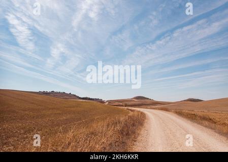 Nel vuoto: La strada del pellegrino della Via San James a Santiago de Compostela conduce direttamente attraverso la Meseta, l'infinita alta pianura castigliano. Foto Stock