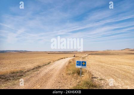 Nel vuoto: La strada del pellegrino della Via San James a Santiago de Compostela conduce direttamente attraverso la Meseta, l'infinita alta pianura castigliano. Foto Stock