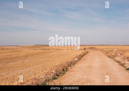 Nel vuoto: La strada del pellegrino della Via San Giacomo conduce direttamente attraverso la Meseta, l'infinita alta pianura castigliana. Foto Stock
