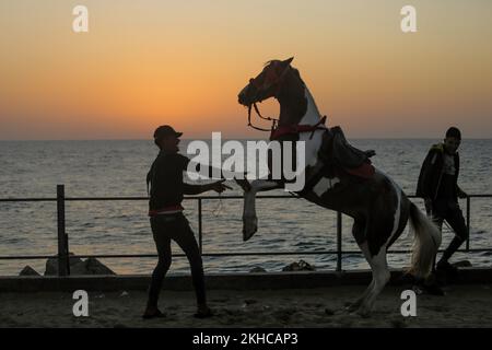 Gaza, Palestina. 23rd Nov 2022. Un palestinese gioca con il suo cavallo durante il tramonto sulla spiaggia di Gaza. (Foto di Mahmoud Issa/SOPA Images/Sipa USA) Credit: Sipa USA/Alamy Live News Foto Stock