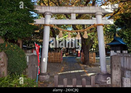 Torii gate e shimenawa rice corda di paglia per purificazione Mitake Jinja Shinto santuario Ontakesan Tokyo Giappone Foto Stock