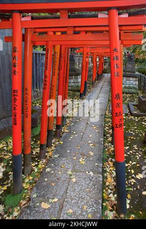 Torii Gates Nezu Shrine Tokyo Japan 3 Foto Stock