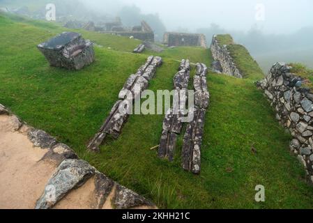 Campi terrazzati a Machu Picchu sito in Perù da mattina nebbia Foto Stock