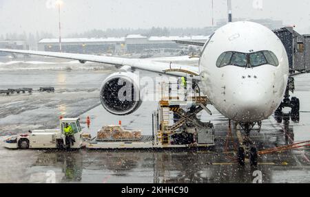 Caricamento di un aereo prima del decollo in aeroporto quando nevica Foto Stock