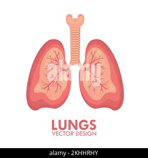 Polmoni apparato respiratorio umano Medicina Sanità vettore isolato Illustrazione Illustrazione Vettoriale