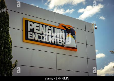 Gold Coast, Queensland, Australia - attrazione Penguin Encounter al parco a tema Seaworld Foto Stock