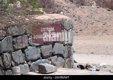 Vigneto Bodega El Cese sulla strada 40 nel nord-ovest Argentina. Foto Stock