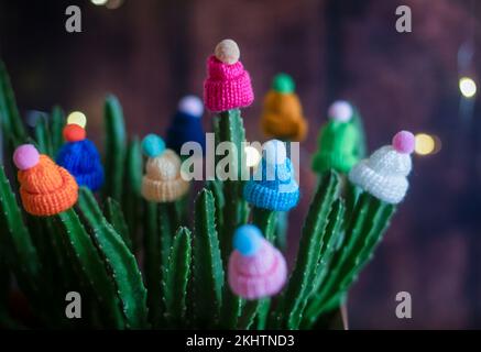 Cappelli decorativi in lana multicolore con pomposi sono indossati sui gambi di un cactus vivo in una pentola a casa. Divertente e creativo. Concetto invernale. Foto Stock