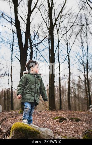 Il bambino che sta in piedi su una roccia nel bosco sta osservando la natura. I bambini che esplorano la foresta stanno fissando gli alti alberi che si sentono penosi e riflettenti Foto Stock