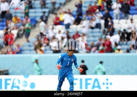 Al Wakrah, Qatar. 24th Nov 2022. Yann Sommer, portiere della Svizzera, festeggia dopo la partita di gruppo G tra Svizzera e Camerun alla Coppa del mondo FIFA 2022 allo stadio al Janoub di al Wakrah, Qatar, 24 novembre 2022. Credit: Jia Haocheng/Xinhua/Alamy Live News Foto Stock