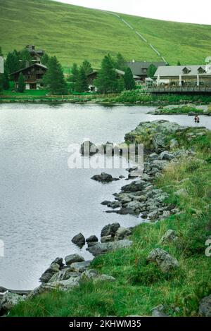 Uno scatto verticale del lago e degli edifici rurali sulla riva verde. Falkertsee, Austria. Foto Stock